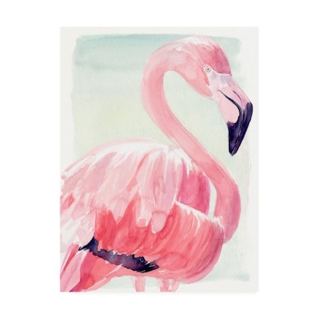 Jennifer Paxton Parker 'Pastel Flamingo Ii' Canvas Art,35x47